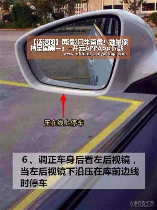 【话洛阳】再添2只华南虎!数量保持全国第一!-开云APPApp下载 (图4) 官方下载地址|开云APP