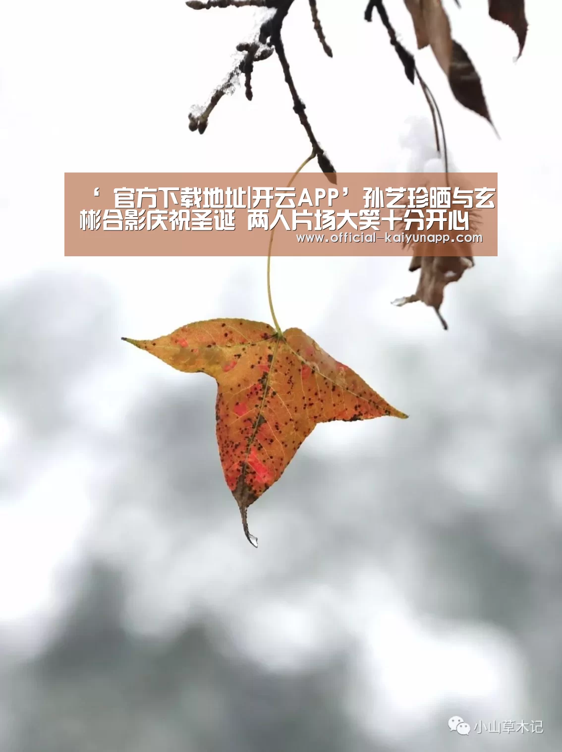 ‘ 官方下载地址|开云APP’孙艺珍晒与玄彬合影庆祝圣诞 两人片场大笑十分开心(图1) 开云APPApp下载